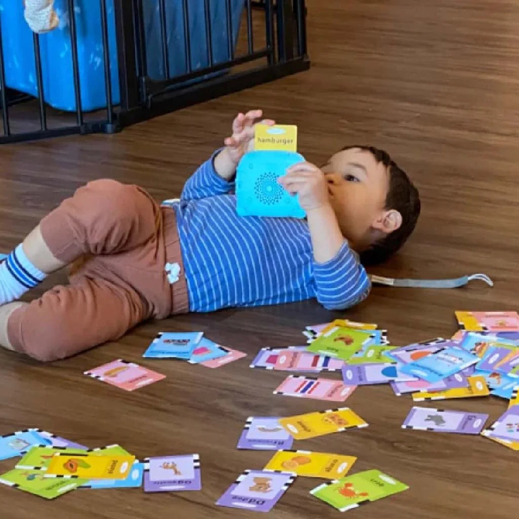 Educational Talking Audio Flash Cards (224 Easy Words)